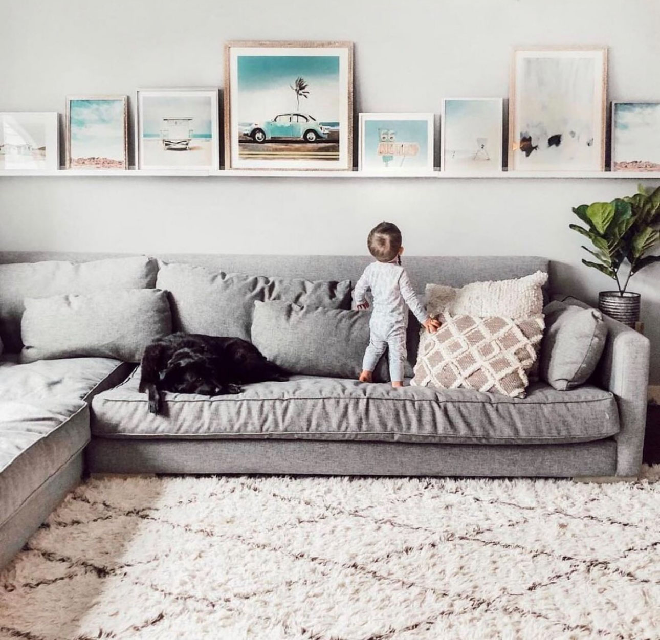 Social Image {i + 1}